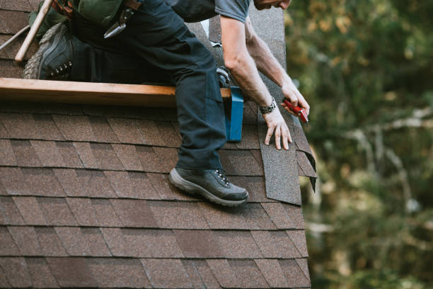 Best Roof Gutter Cleaning  in Bright, IN